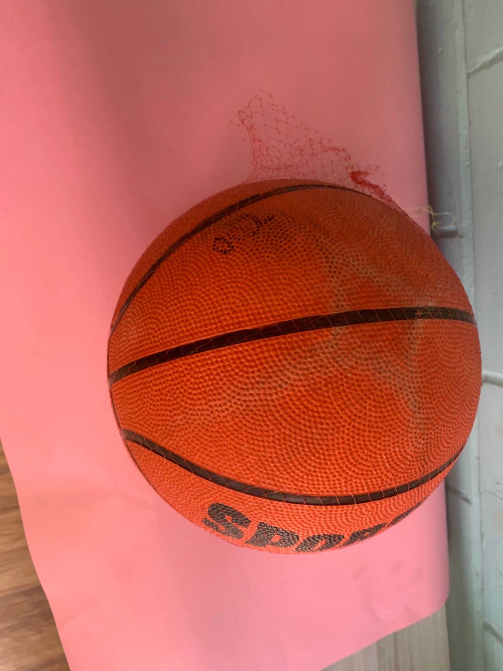 Premium Outdoor/Indoor Basketball