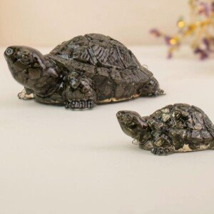 100% Original Pyrite Tortoise