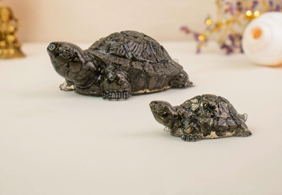 100% Original Pyrite Tortoise